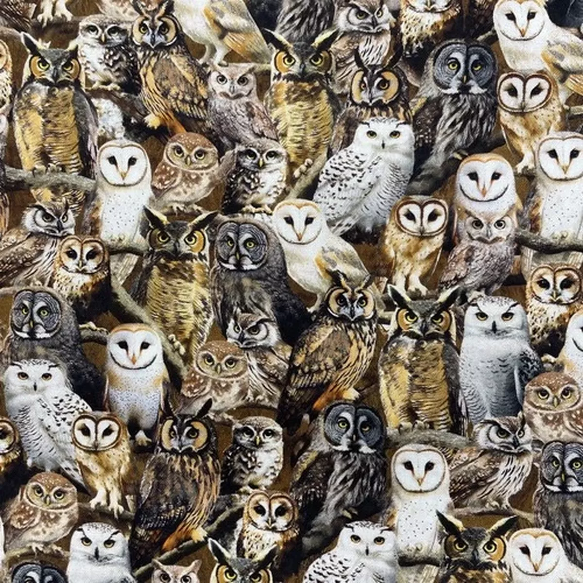 100% Cotton Owl fabric By WINDHAM FABRICS