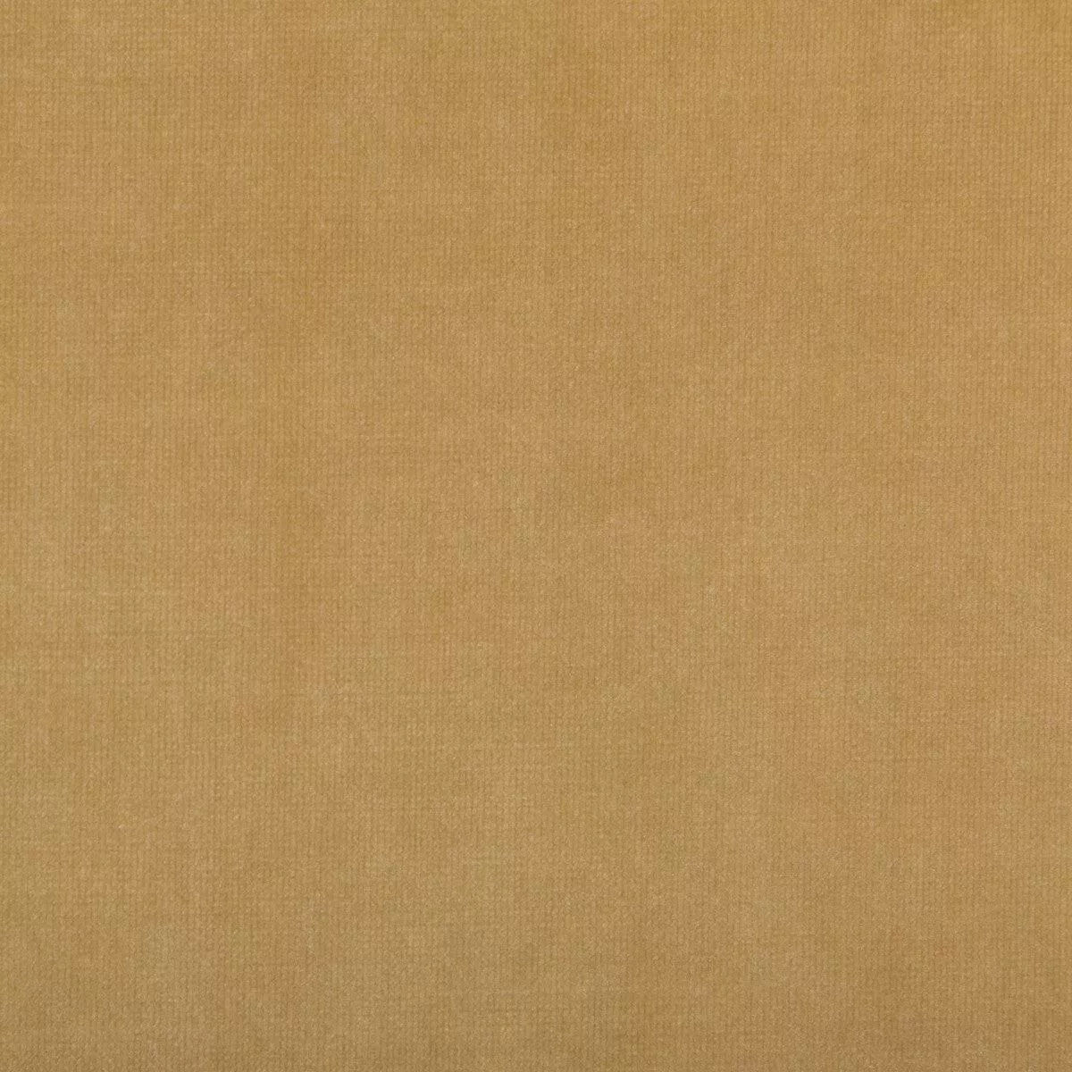 35364-16-0-calmative-camel-kravet-design-fabric-yard 35364.16.0 CALMATIVE CAMEL – KRAVET DESIGN Fabric – YARD