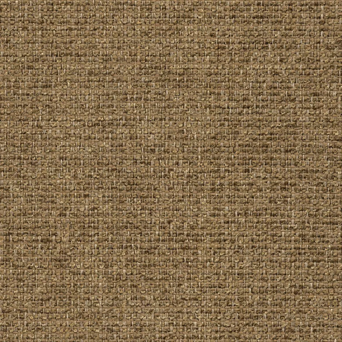 53421-camel-chorus 53421 CAMEL (CHORUS)