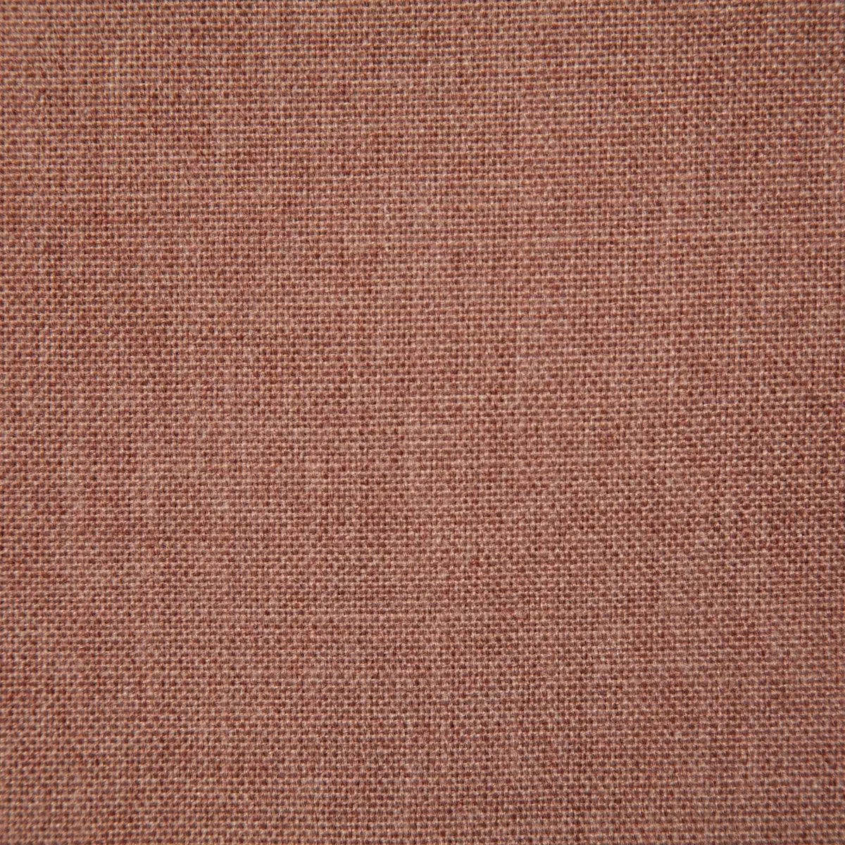 7065 – LINCOLN ROSE