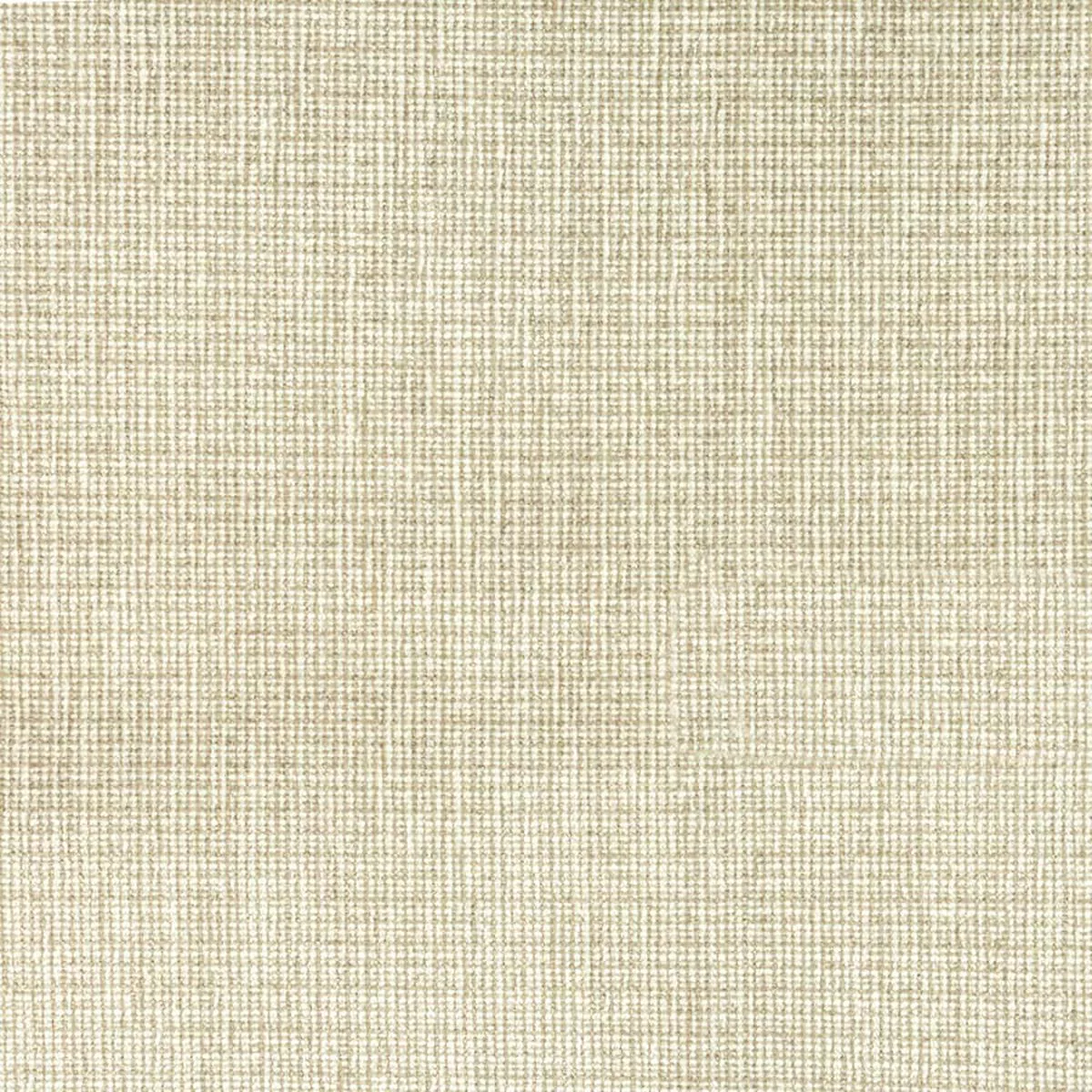 7804-11-beginnings-sanddune 7804-11 BEGINNINGS SANDDUNE