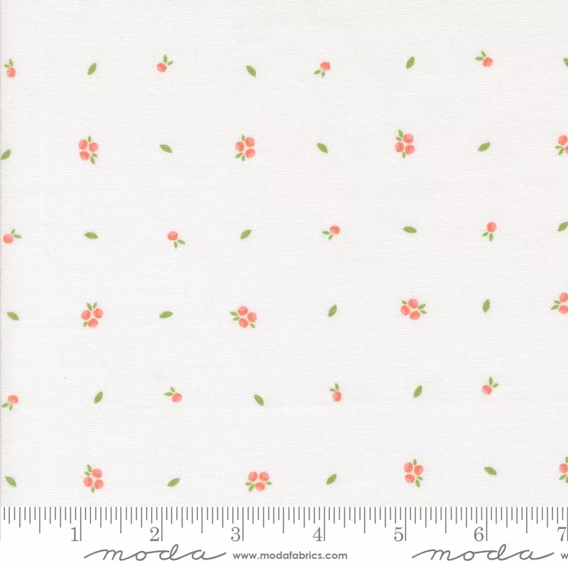 abloom-cloud-little-sprout-yardage-by-corey-yoder-moda-fabrics Abloom Cloud Little Sprout Yardage by Corey Yoder for Moda Fabrics