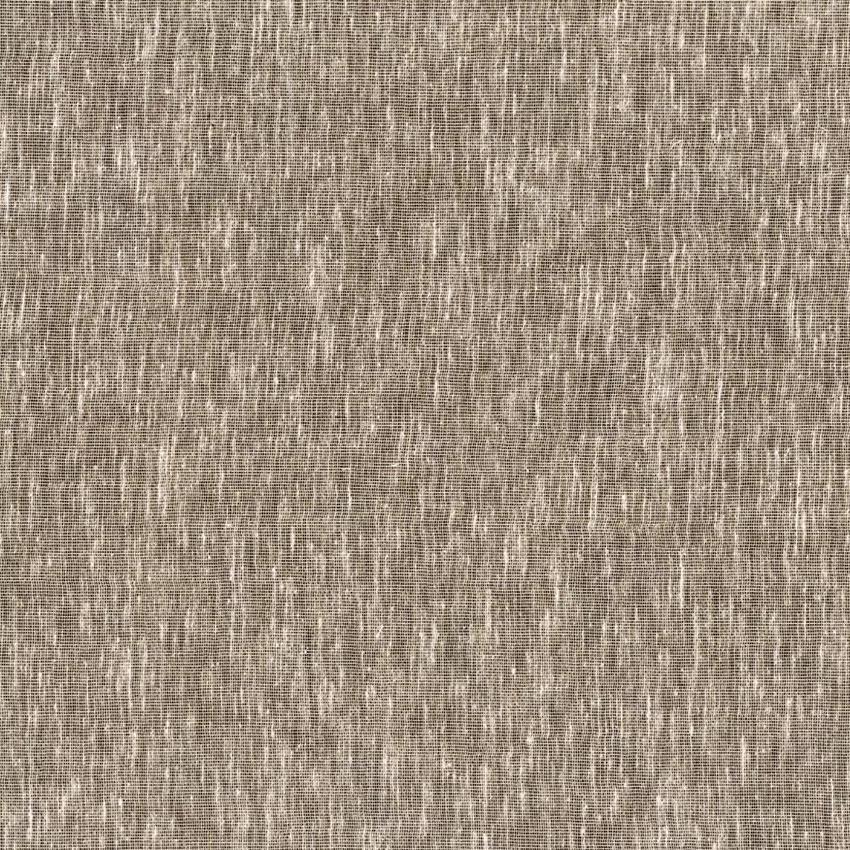 ABSTRACT OSTRICH