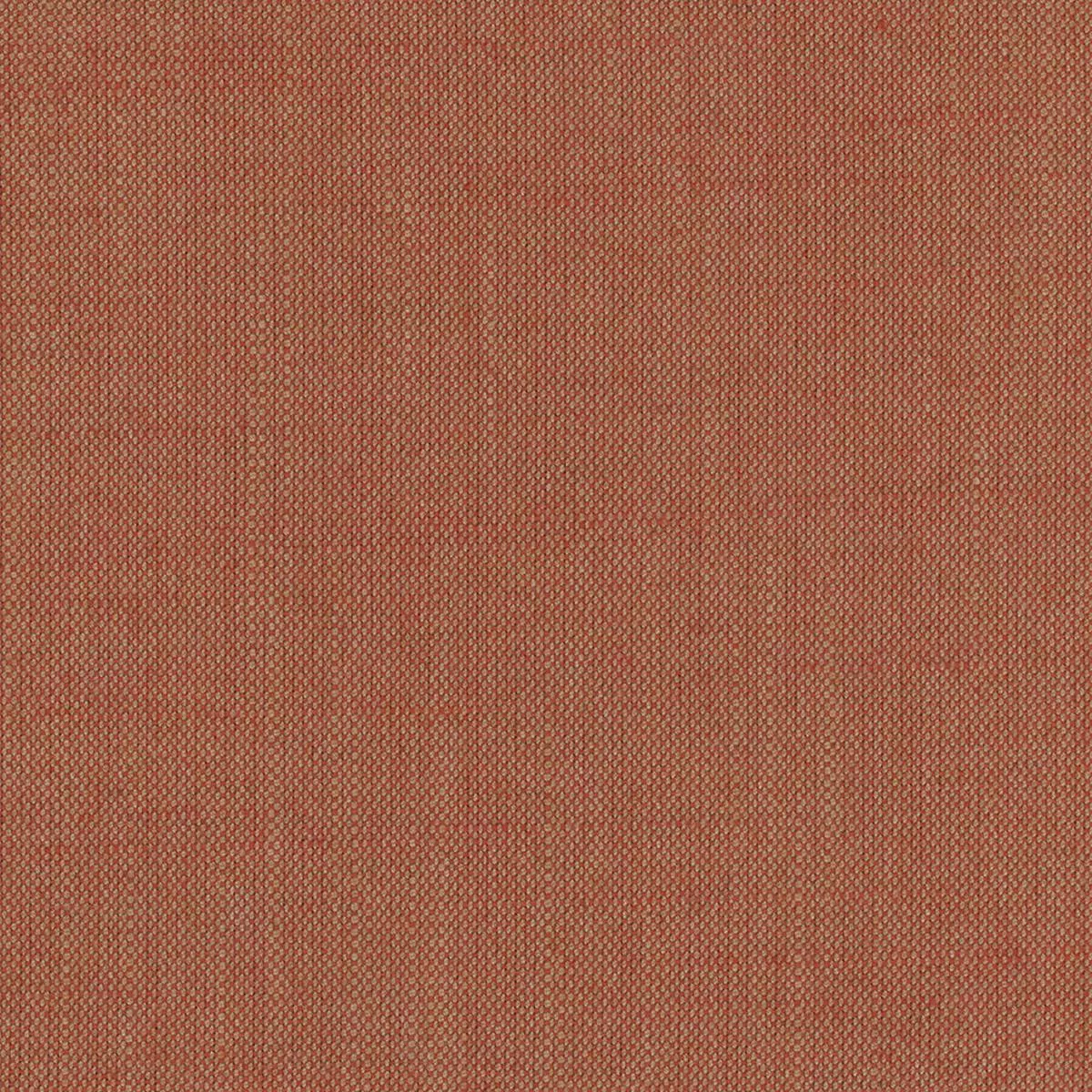 Aerial – Oatmeal