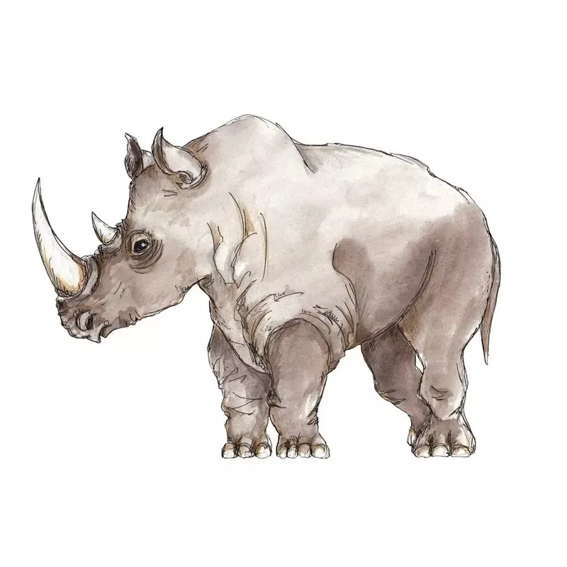 african-rhinoceros-fabric-panel-gray African Rhinoceros Fabric Panel – Gray