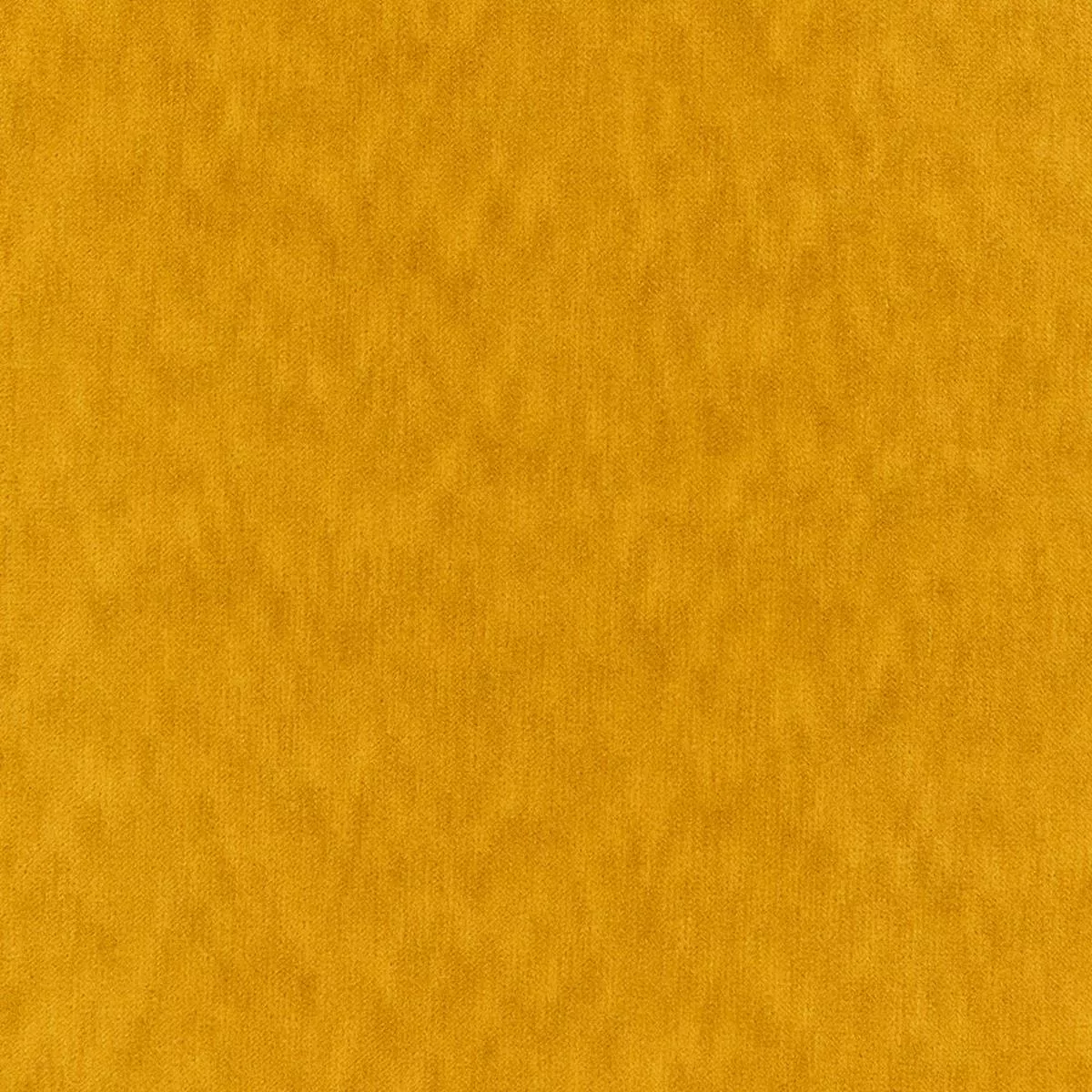 Ahead Of The Game – Curry