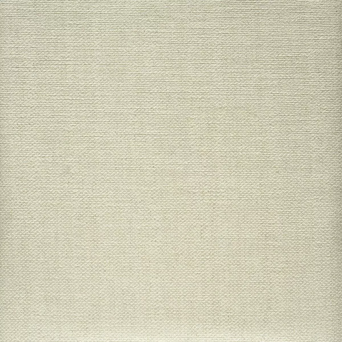 Albemarle String Fabric