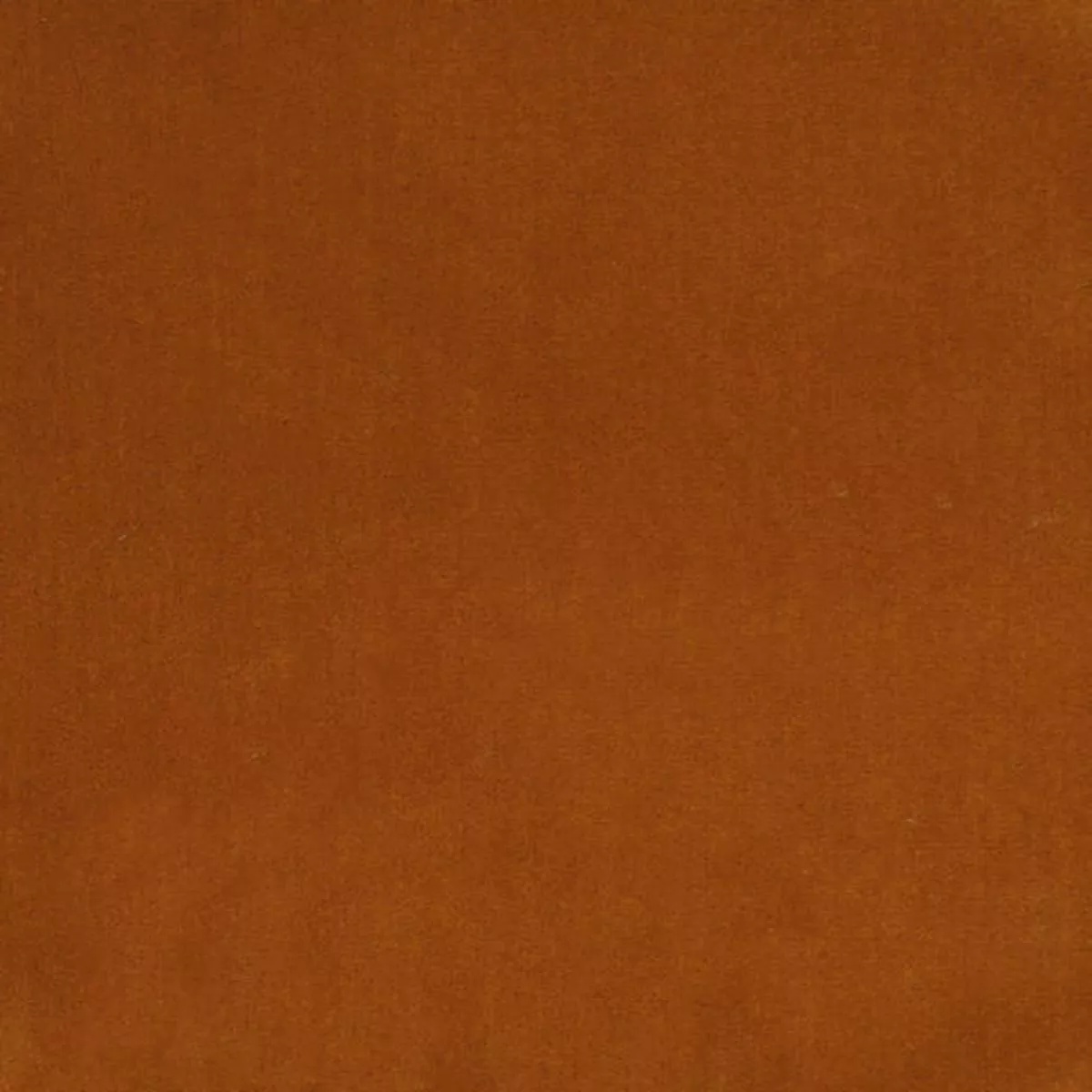allegro-cayenne ALLEGRO CAYENNE