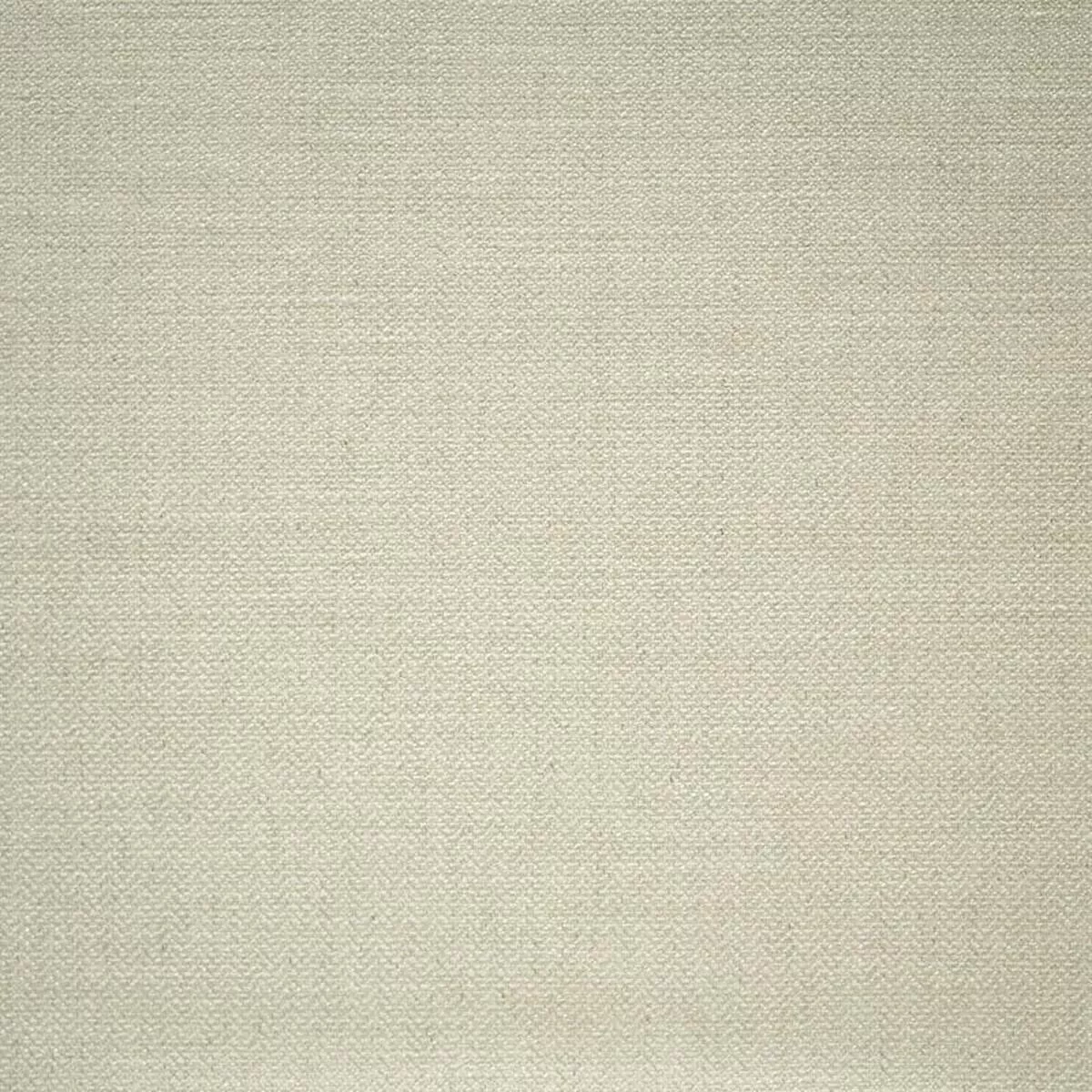 Andrew Martin Paraggi String Fabric AM100299.1.0