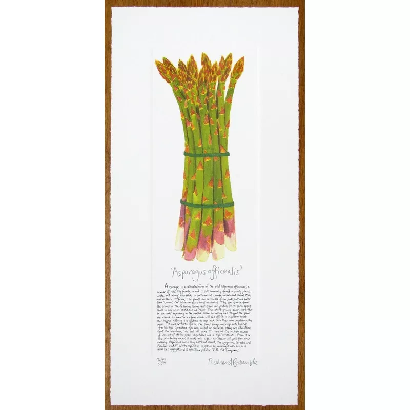 Asparagus Print