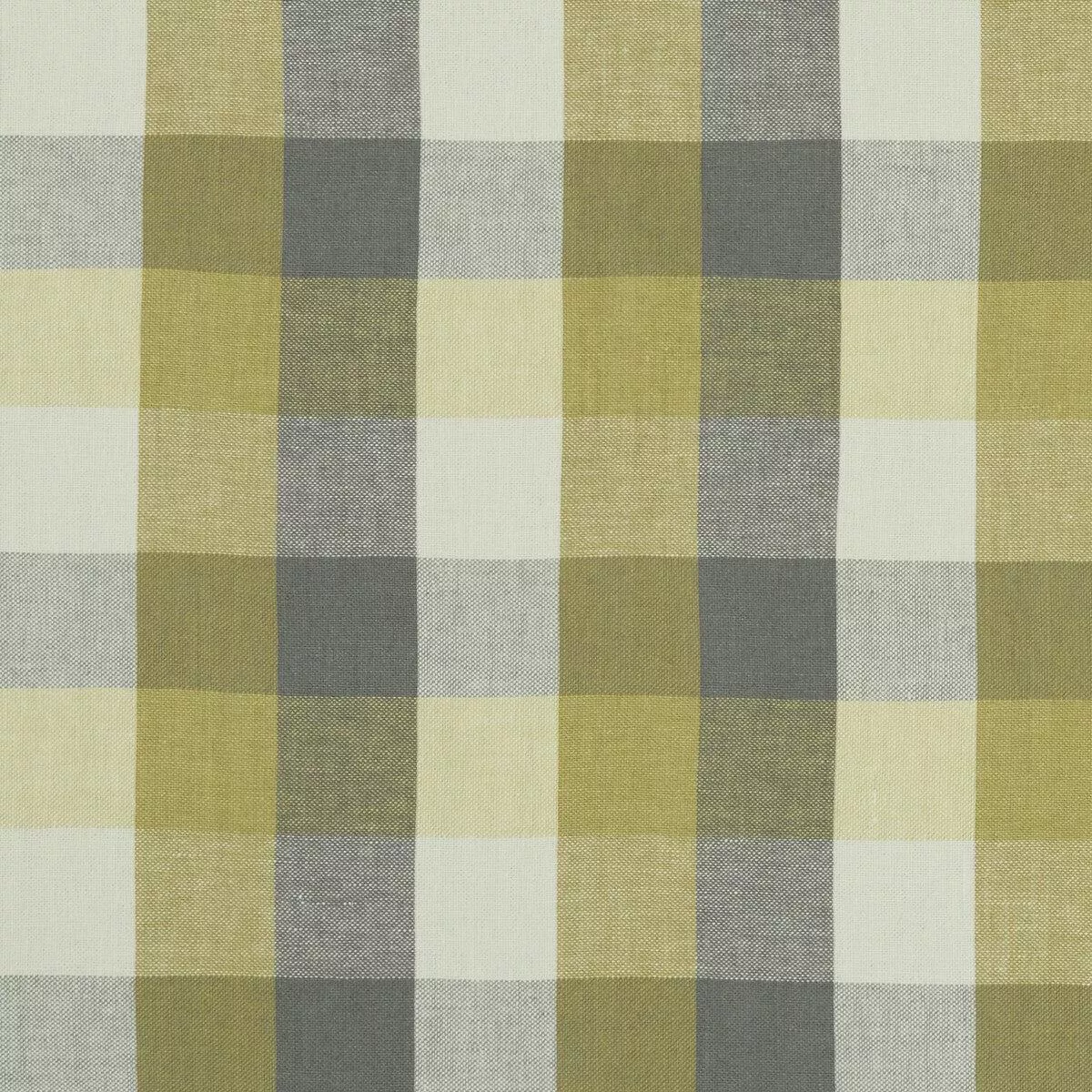 Austin Check Citron/Natural Fabric