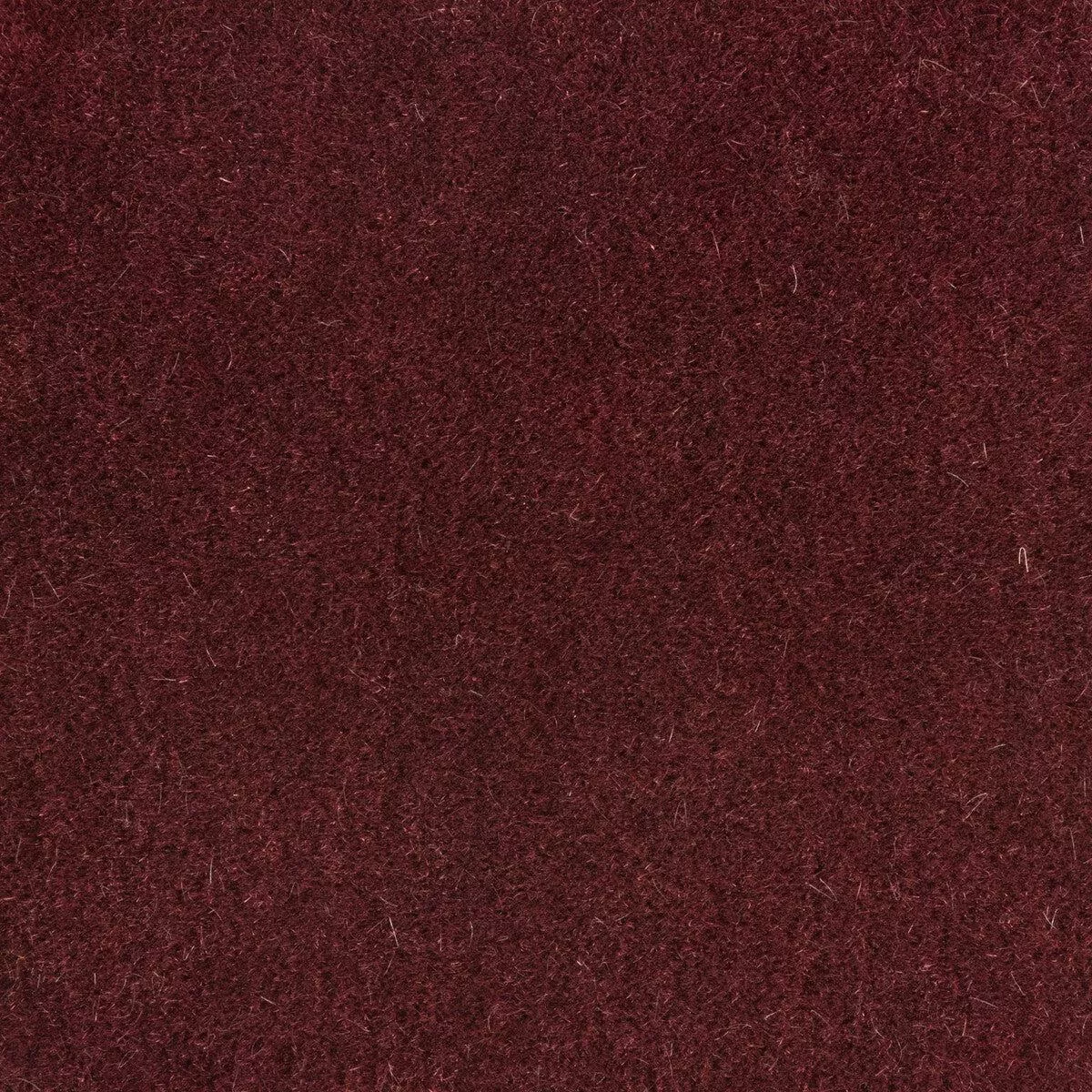 bachelor-mohair-damson-fabric Bachelor Mohair Damson Fabric