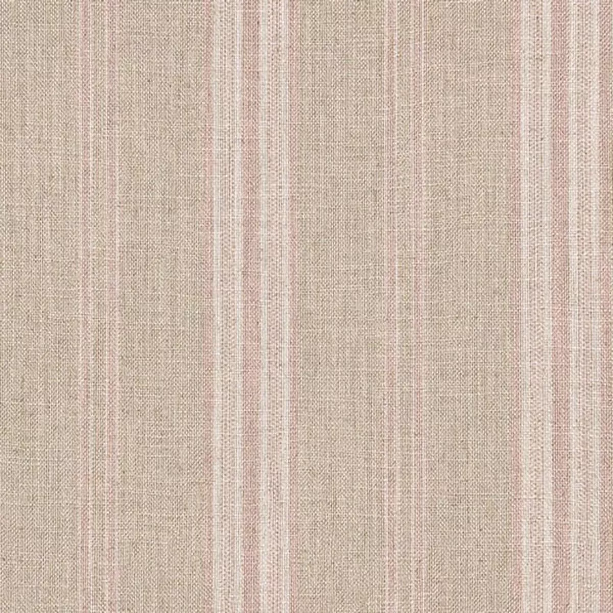 Backridge Stripe – Blossom | Order A Sample