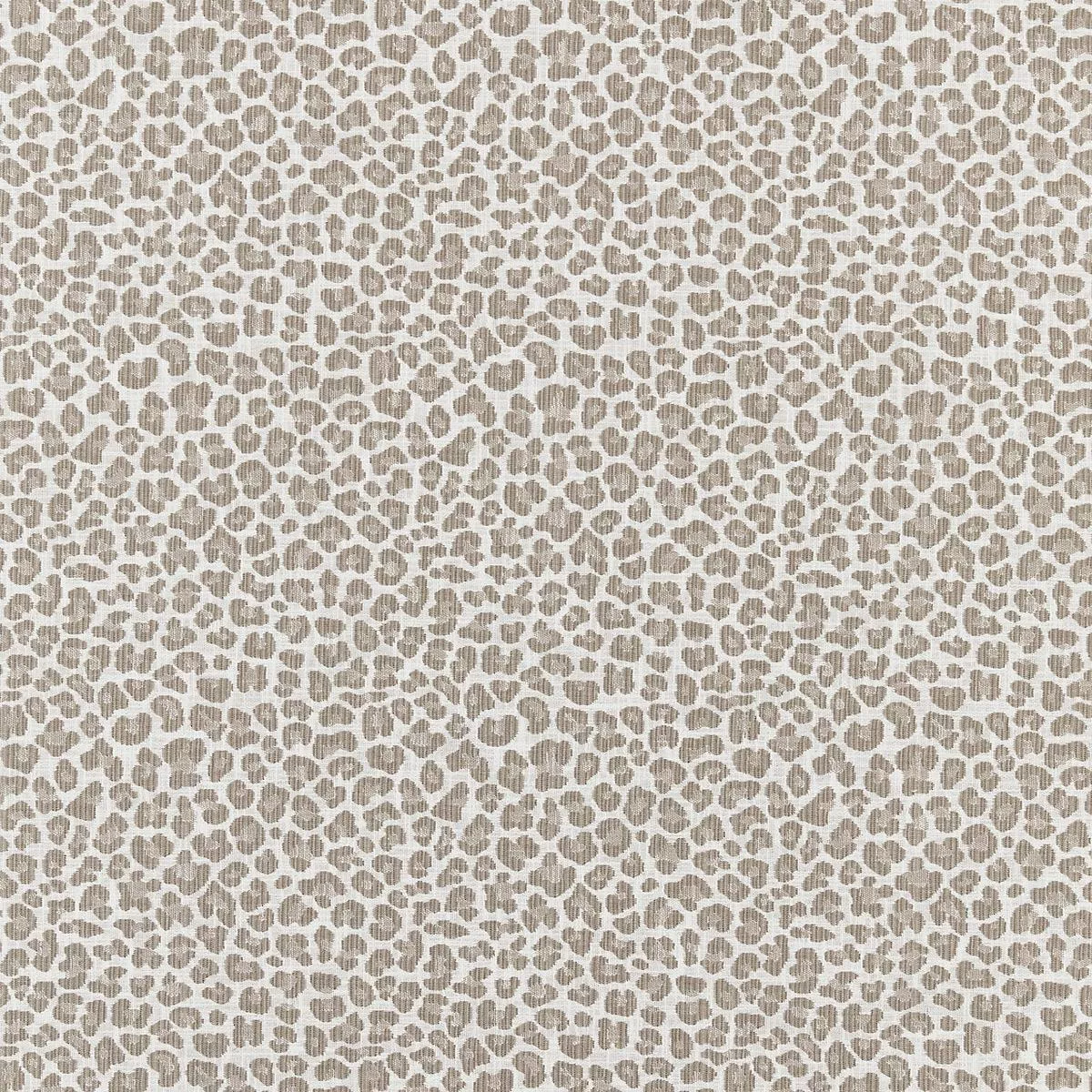Backyard Bengal – Limestone by Scalamandre Fabric