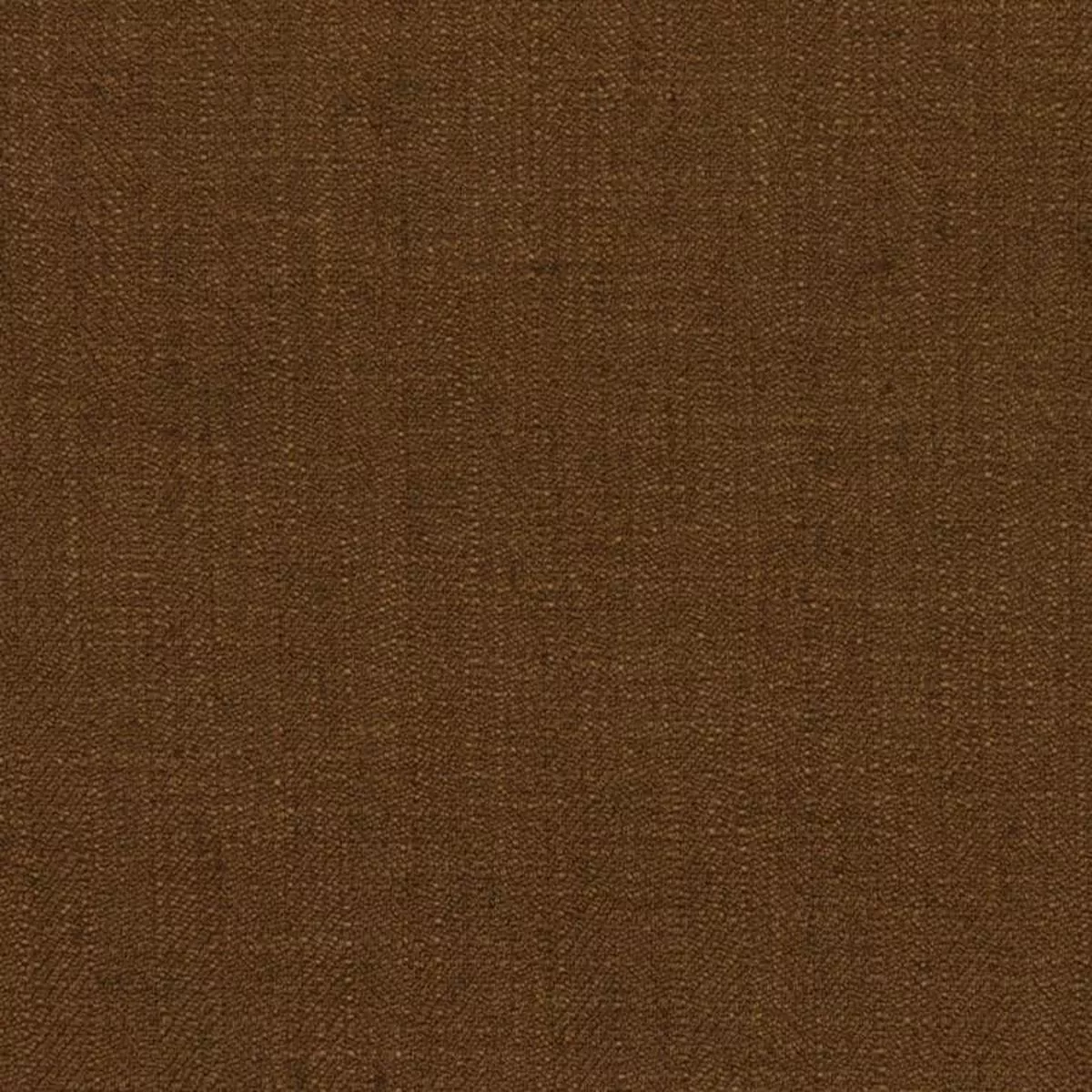Barrister Truffle