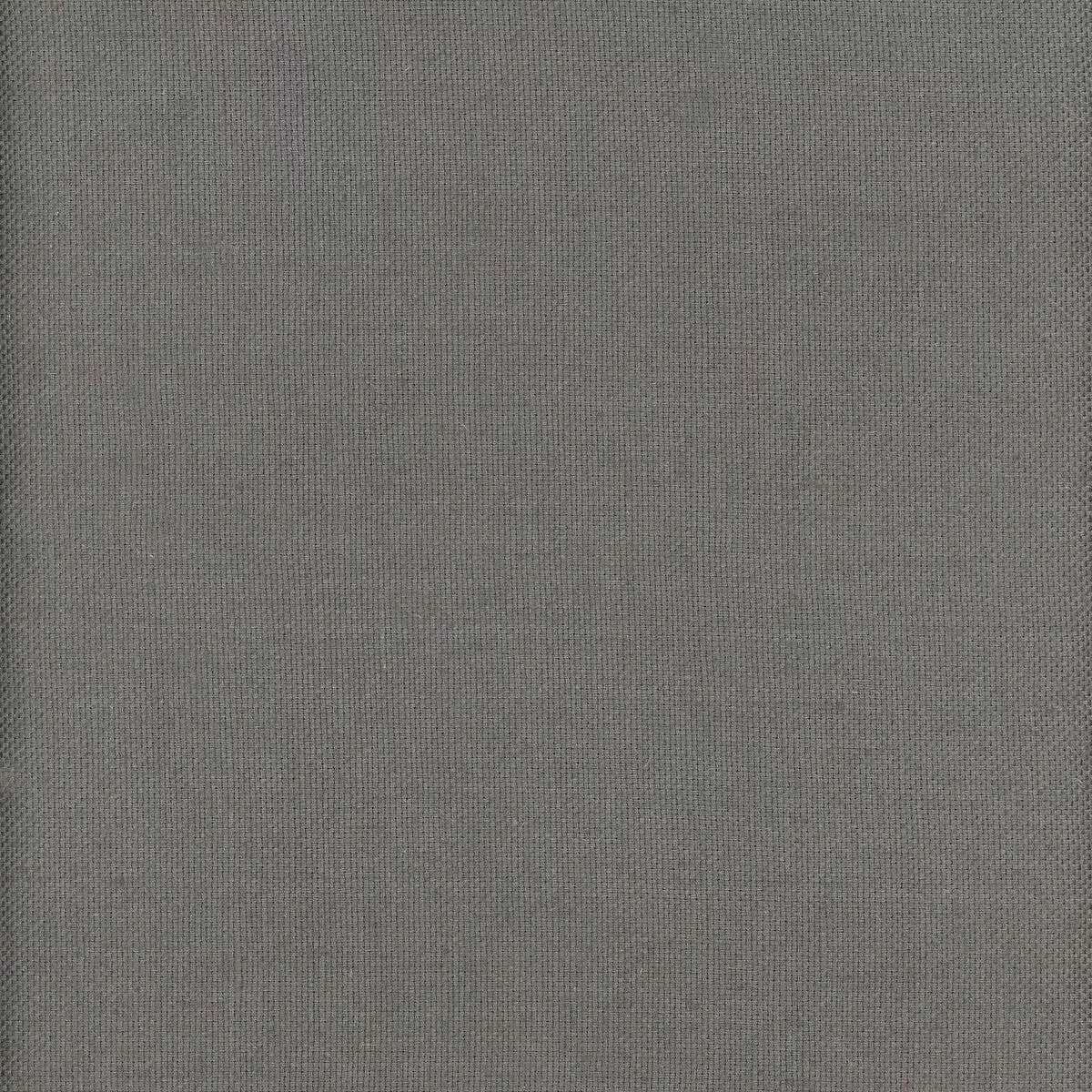Beagle Turtle Fabric