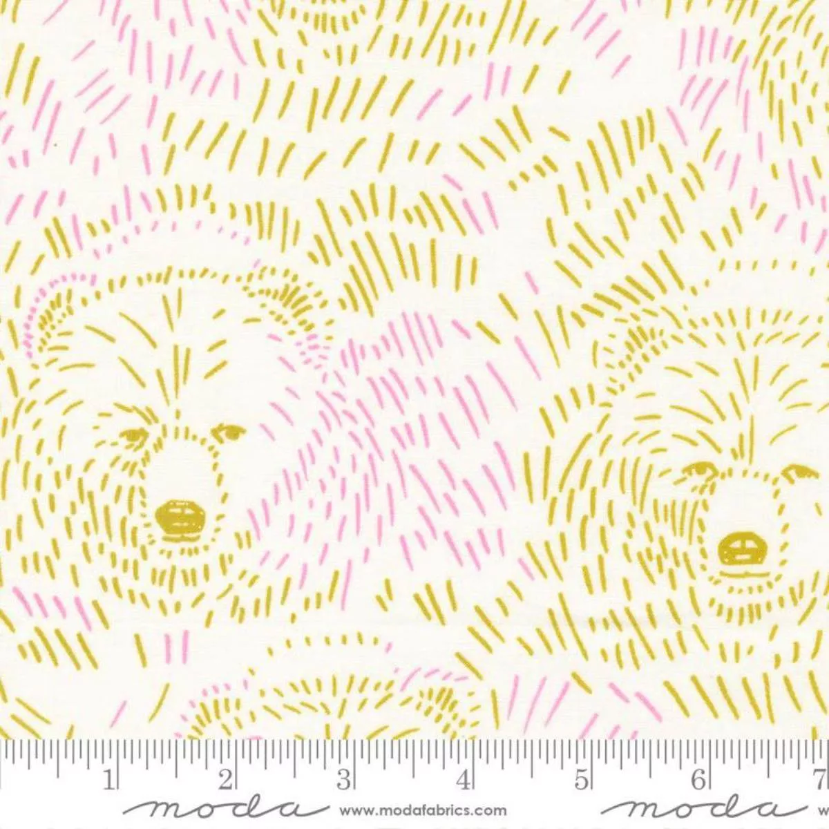 Bears Daisy by Aneela Hoey