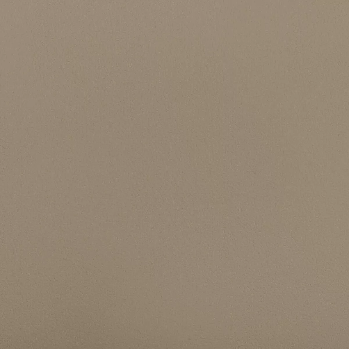 Beech Beech-121 Fabric