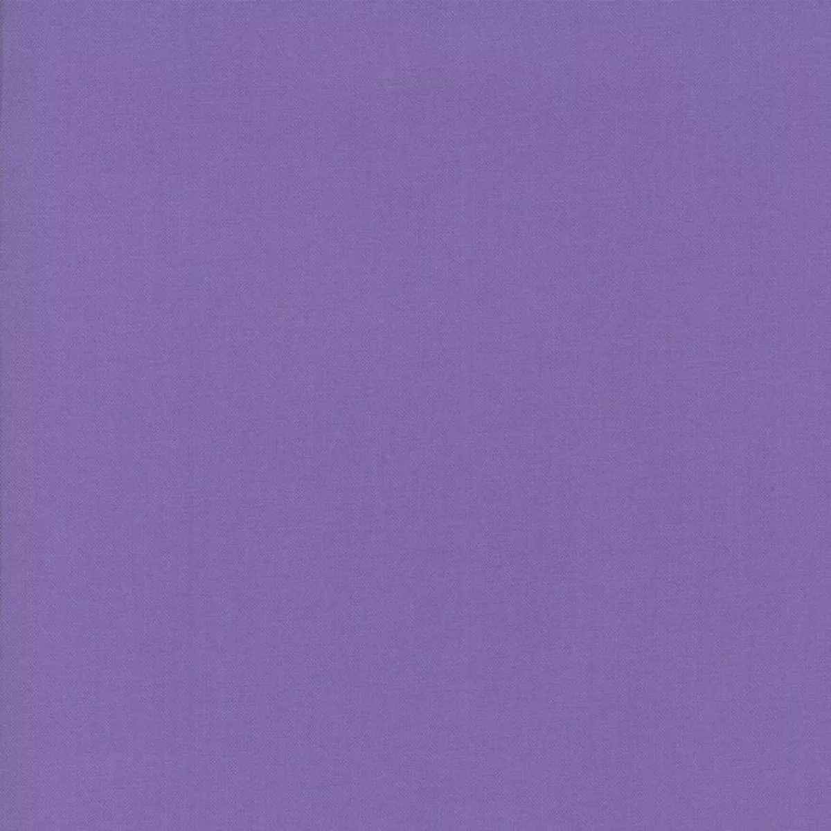 bella-solids-hyacinth Bella Solids – Hyacinth
