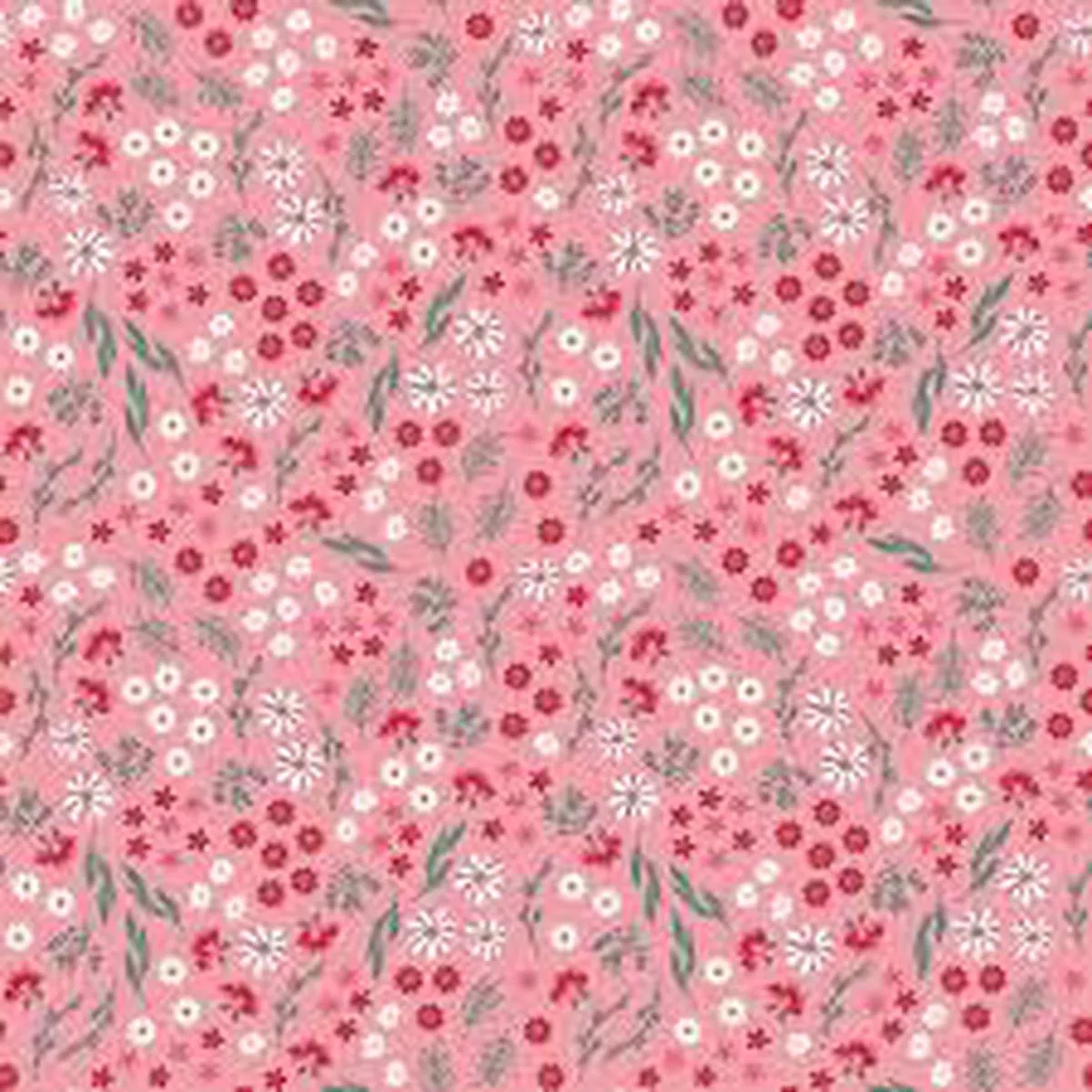 Berry Market – 15744 Peony