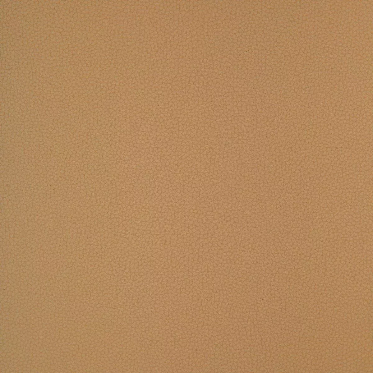 bind-bind-116-fabric Bind Bind-116 Fabric