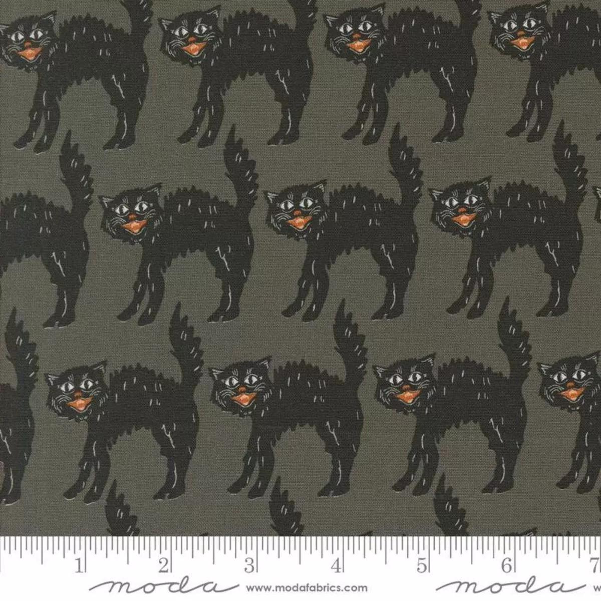 Black Cats Stone by Stacy Iest Hsu
