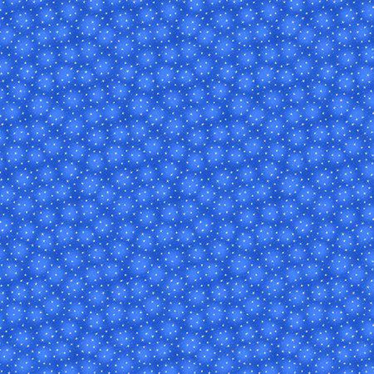 blank-starlet-royal Blank – Starlet Royal