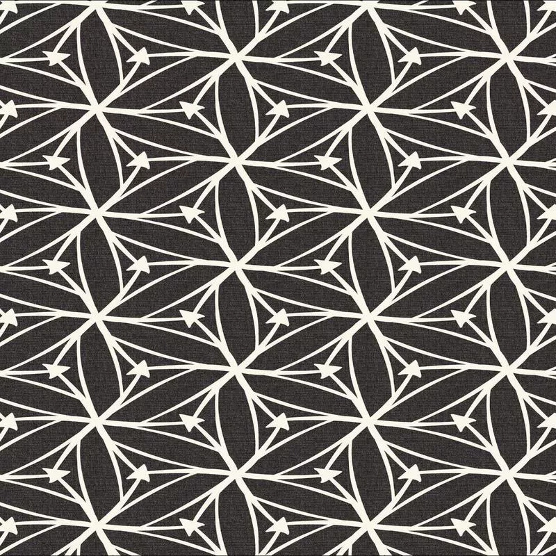 Blast Off Stargazer by Cloud9 Black / White