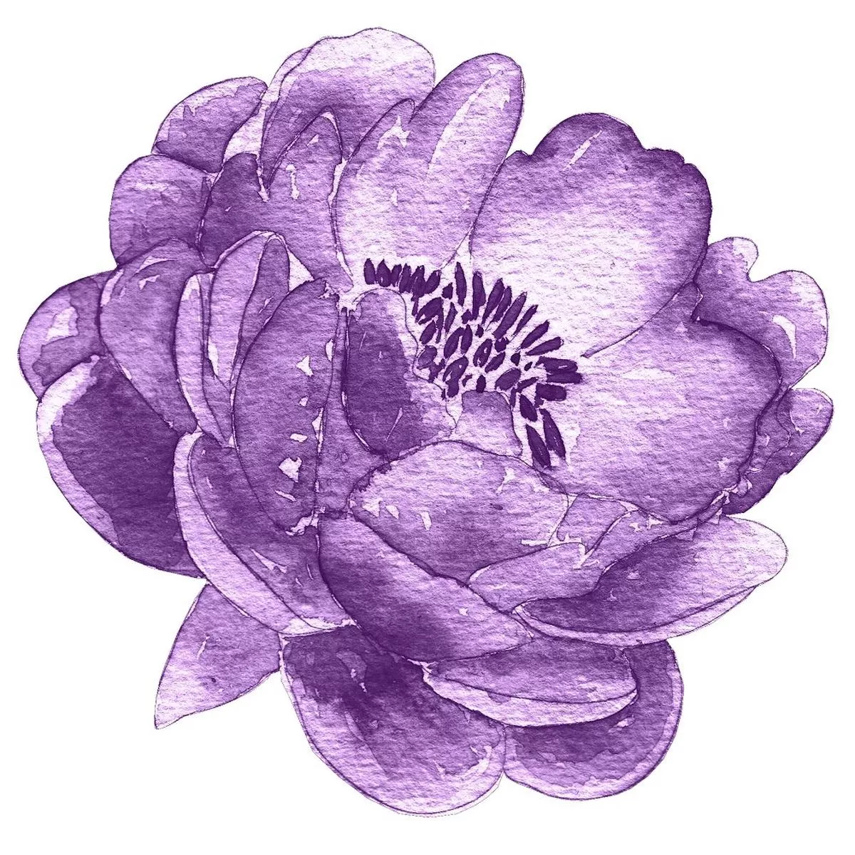 blooming-purple-magnolia-flower-fabric-panel Blooming Purple Magnolia Flower Fabric Panel