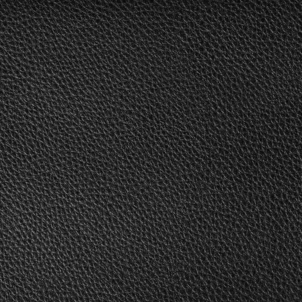Boone Stallion Fabric