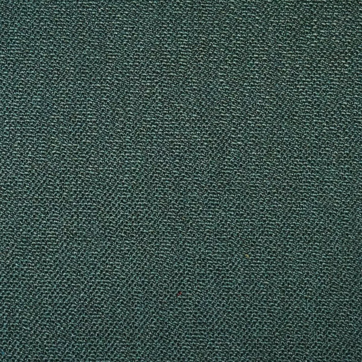 Boss Boucle – Hedgerow by Scalamandre Fabric