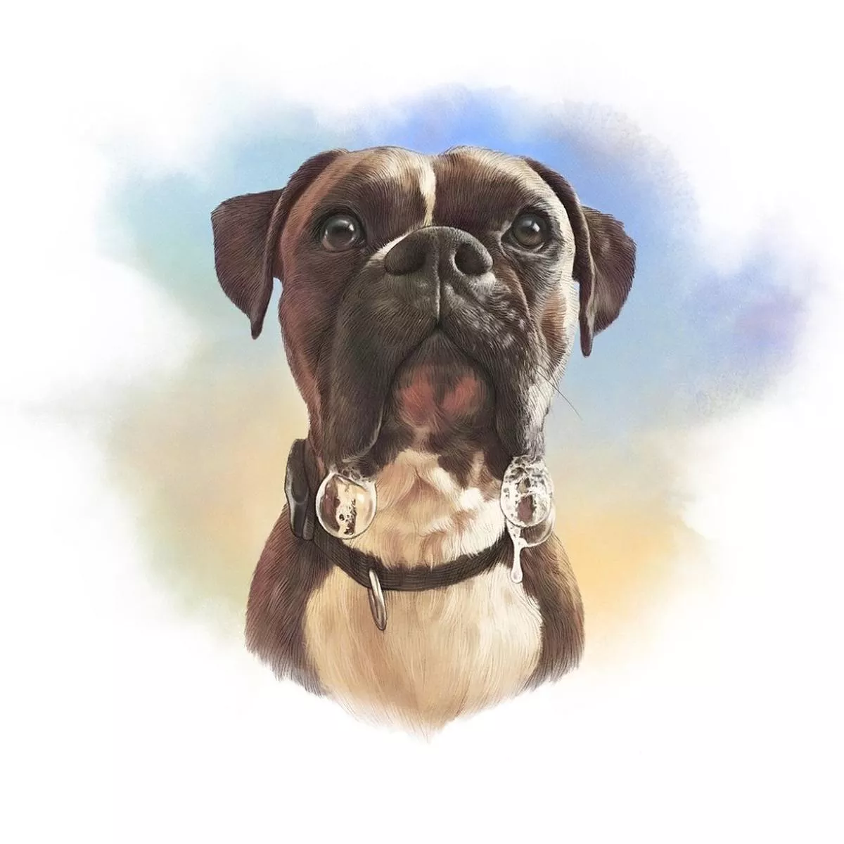 boxer-portrait-fabric-panel-multi Boxer Portrait Fabric Panel – Multi
