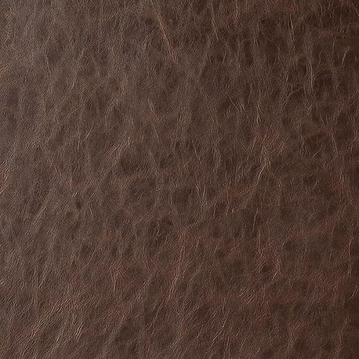 brentano-taurus-cocoa-fabric-6817-08 Brentano Taurus Cocoa Fabric 6817-08
