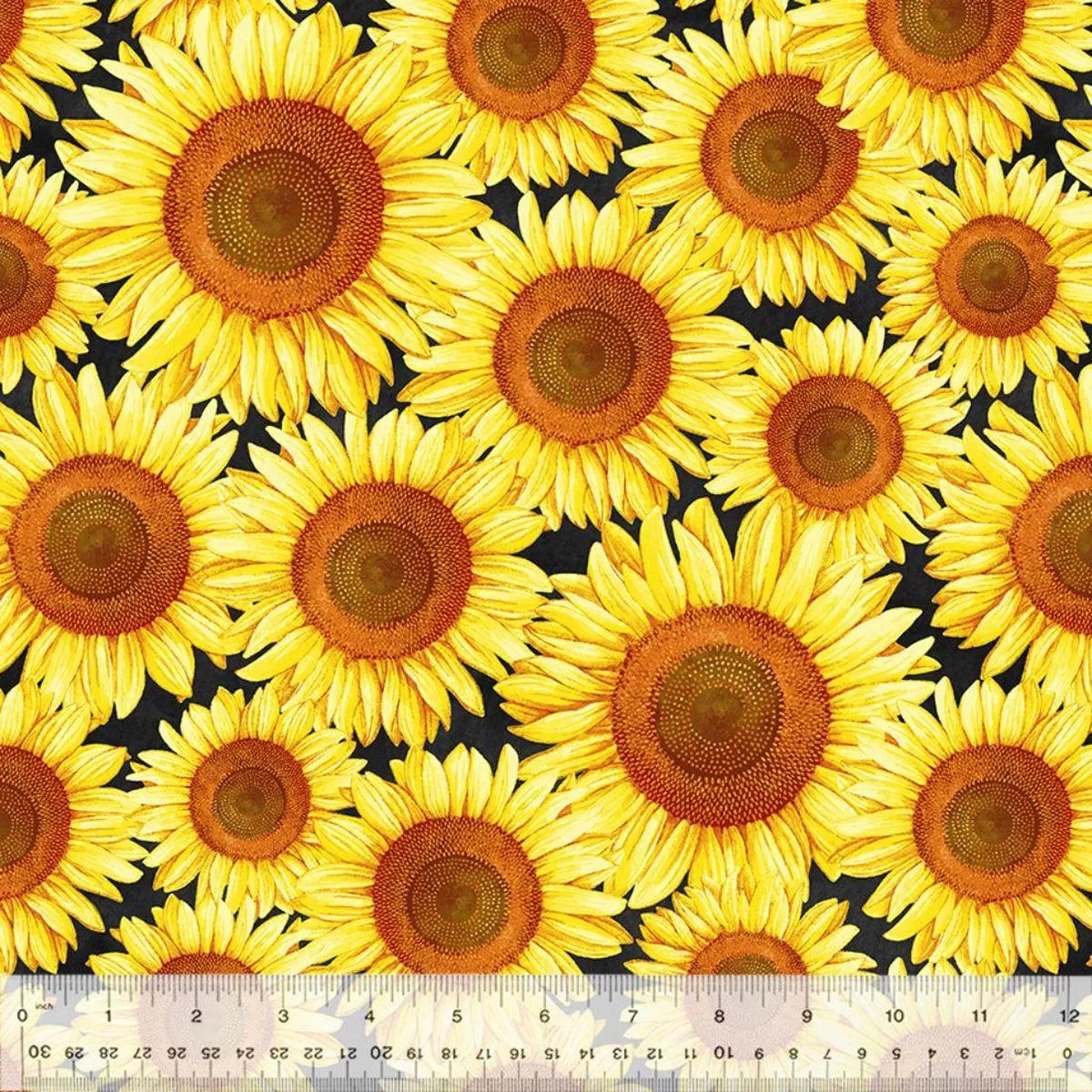 Brighter Than The Sun by Robin Roderick