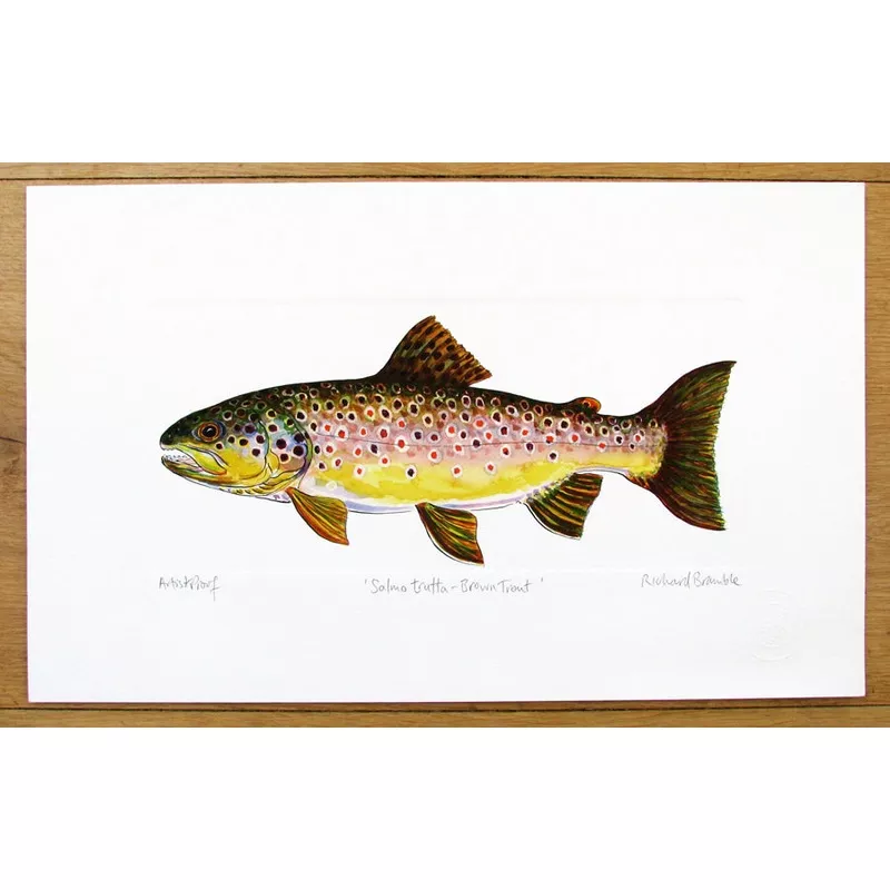 brown-trout-print-richard-bramble Brown Trout Print Richard Bramble