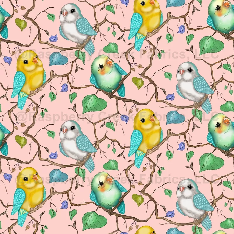 Budgie bird on Pink Wallpaper