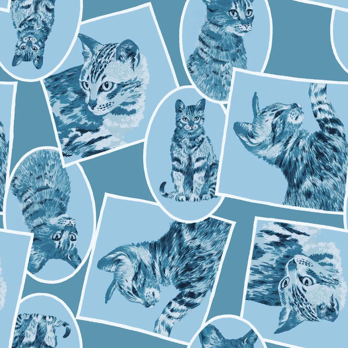 Cat Frames on Blue Fabric