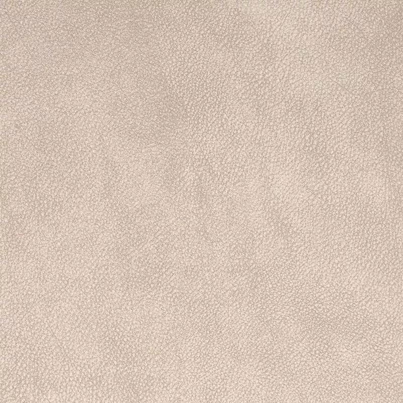 Charlotte Ash Fabric V882