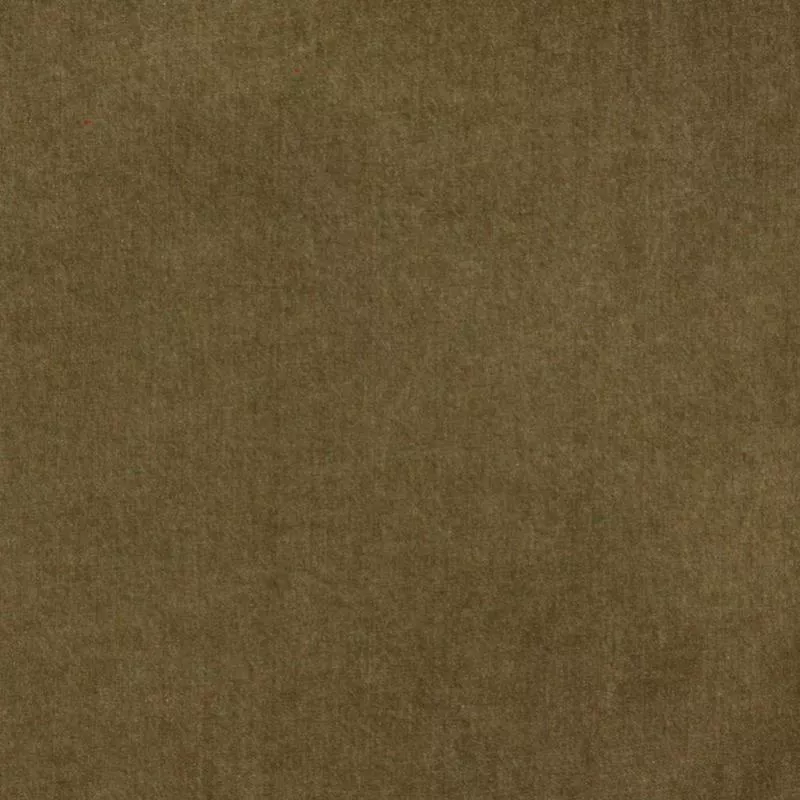 Charlotte Cocoa Fabric 5002