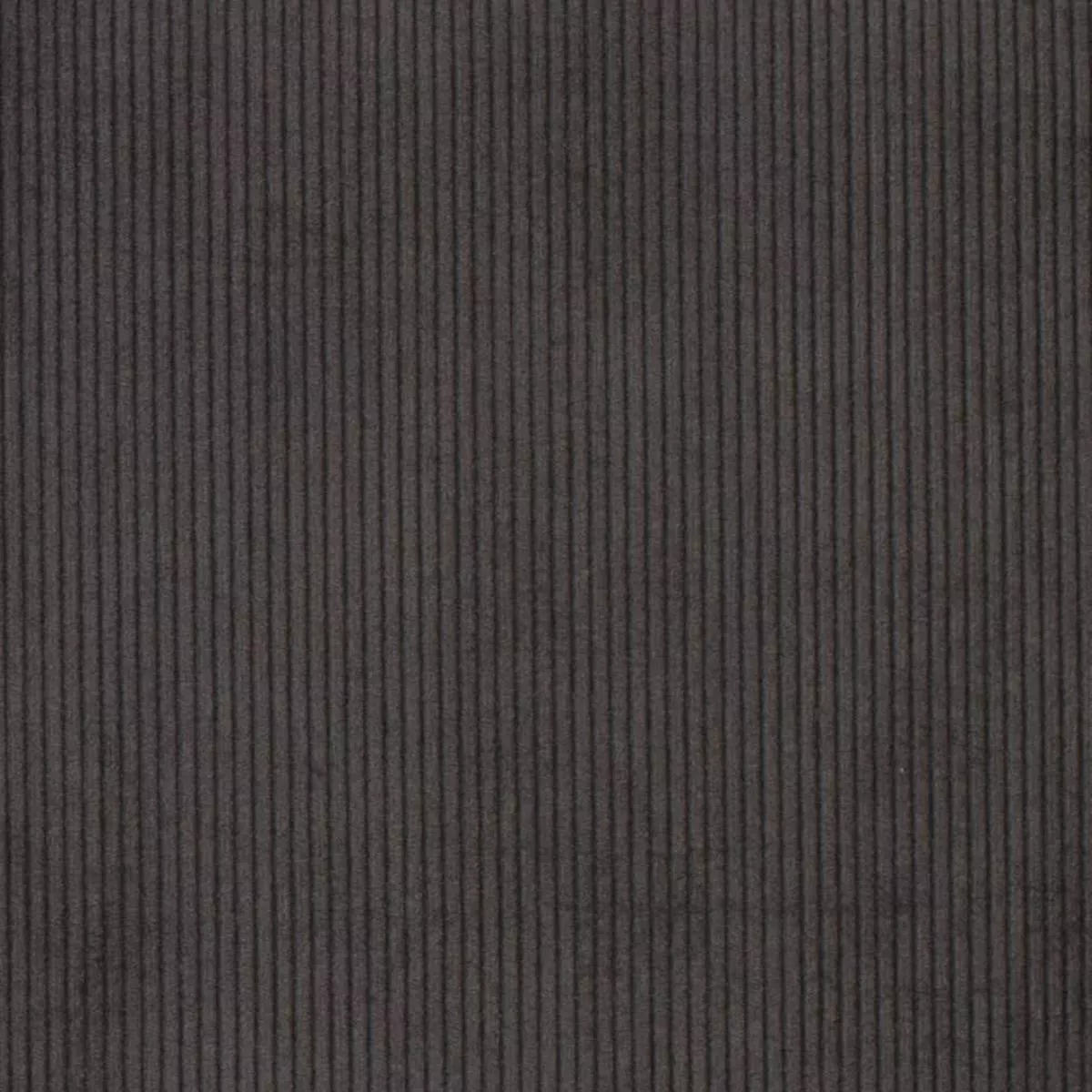 charlotte-d3875-shadow-fabric-by-yard-shadow Charlotte – D3875 – Shadow – Fabric by the Yard – Shadow