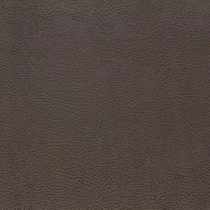 Charlotte Graphite Fabric V876