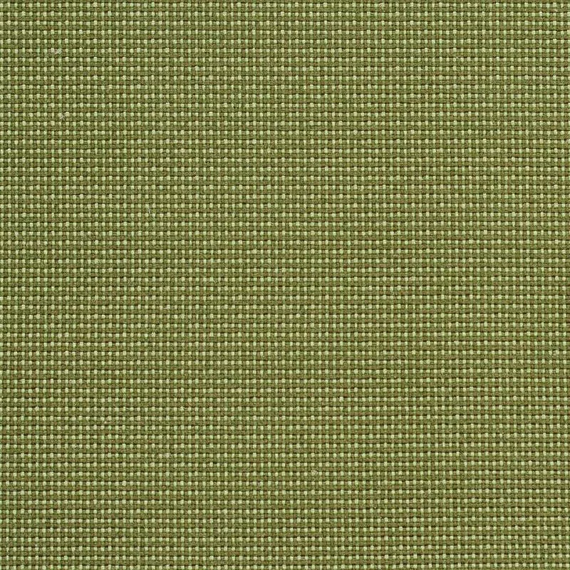 Charlotte Ivy/dot Fabric 6745