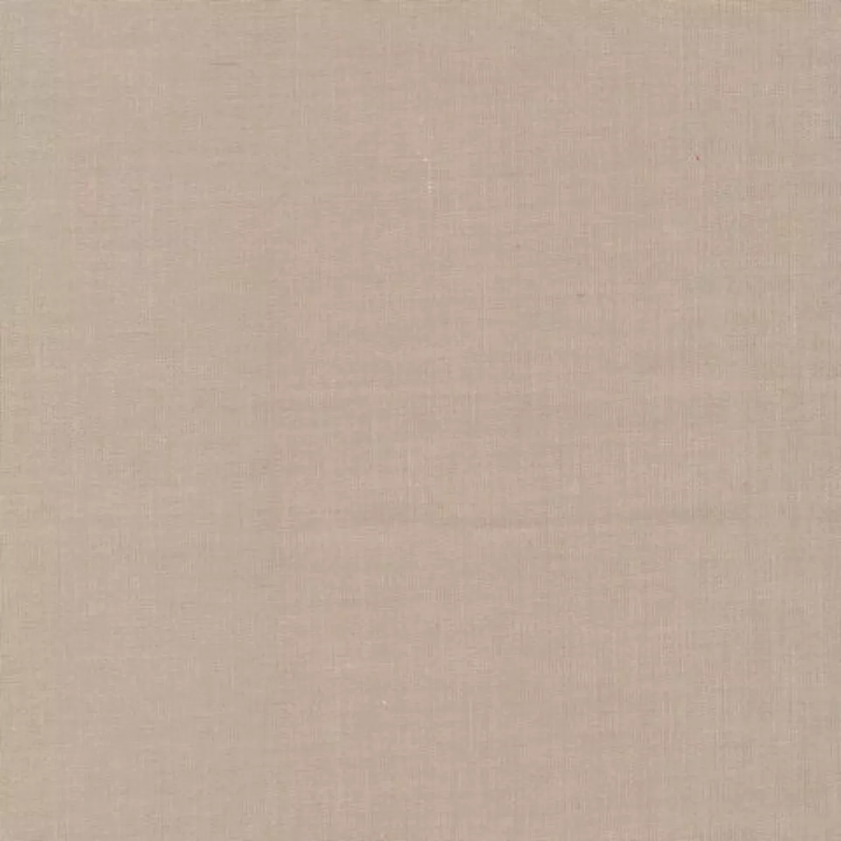cirrus-solid-twig-cloud-9-fabrics-organic-yarn-dyed-crossweave-fabric Cirrus Solid – Twig | Cloud 9 Fabrics | Organic Yarn Dyed Crossweave Fabric