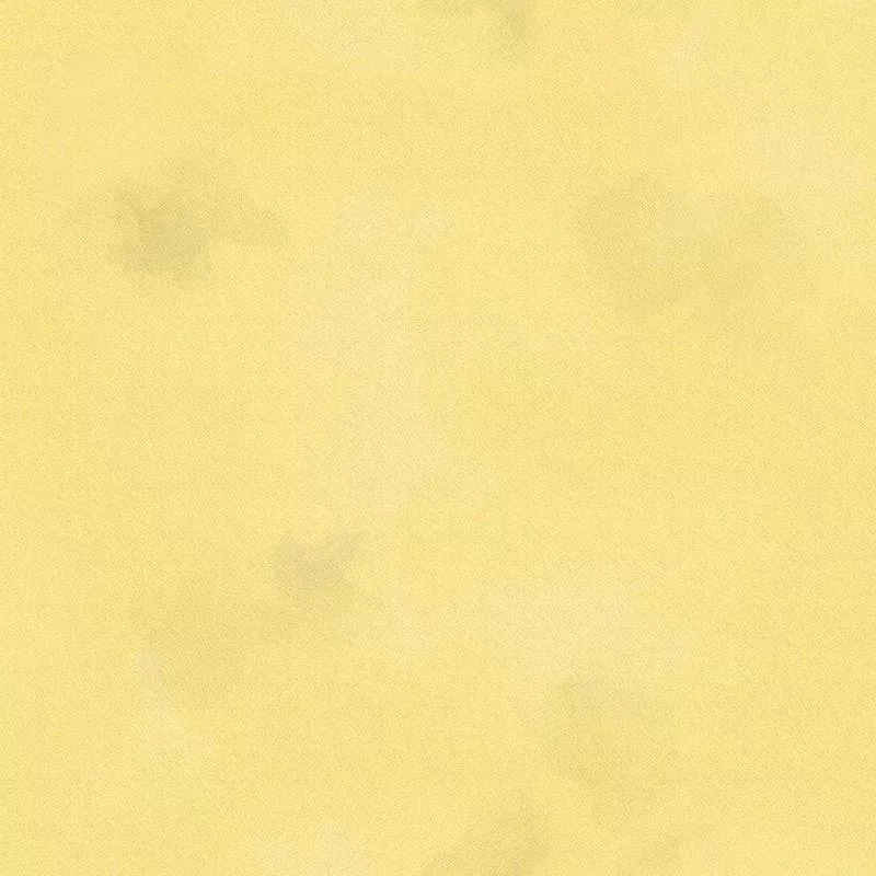 colorstock-butter-brushstroke Colorstock – Butter Brushstroke