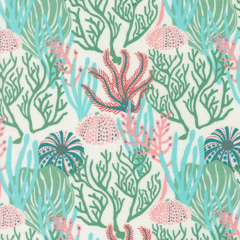 Coral Reef – Seaweed