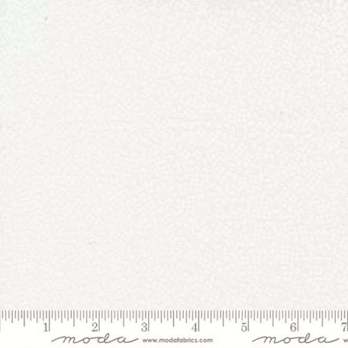 Coriander Seeds 29148, White