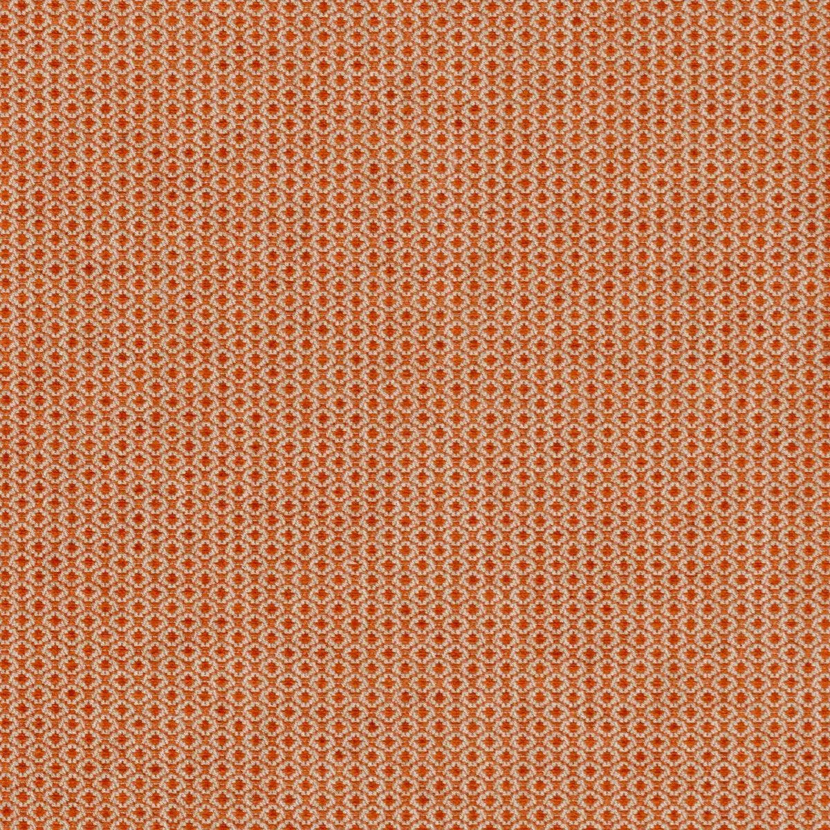 cosgrove-tangerine Cosgrove-Tangerine