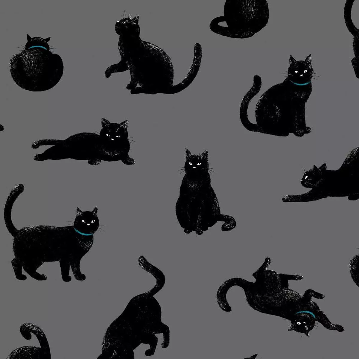 Cosmo Black Cats