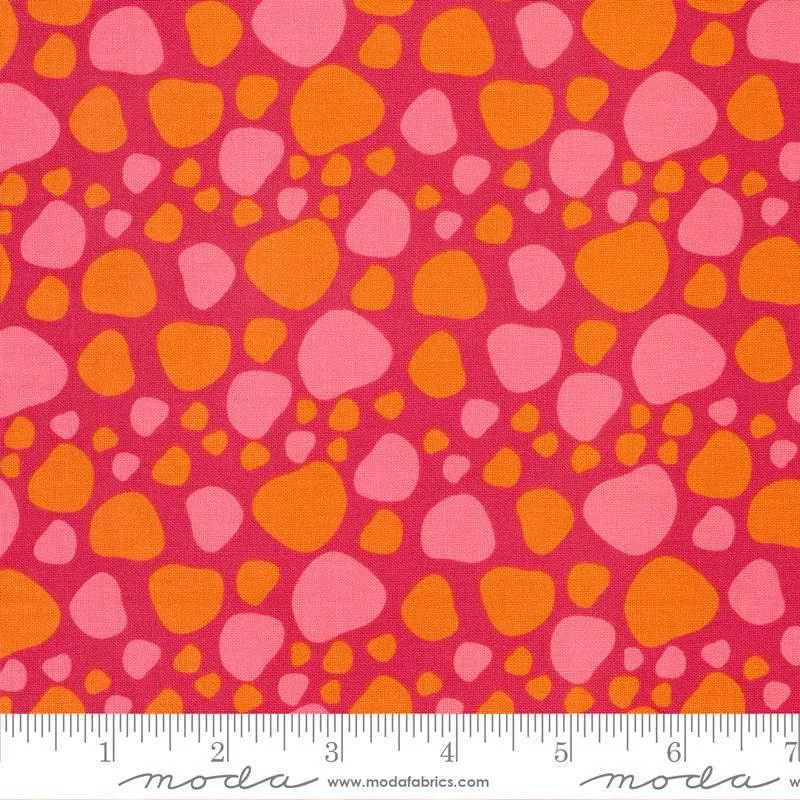 Creativity Roars Dino Spots By Creativity Shell For Moda Raspberry