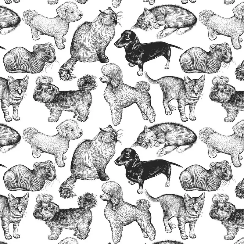 Cute Kitten and Puppy Fabric – White